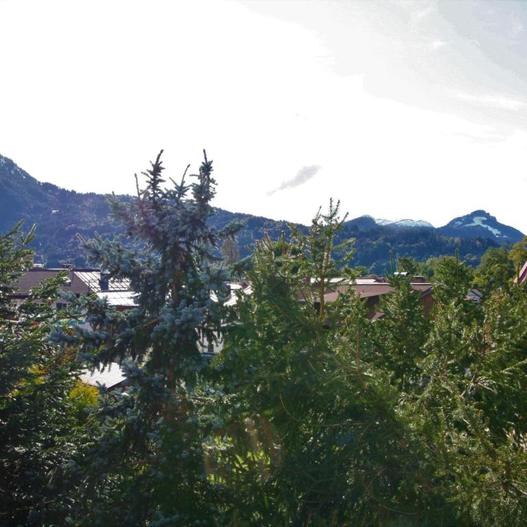 Alpenflair Ferienwohnungen Whg. 109 Bergkristall - Apartment mit 1 Schlafzimmer - 11