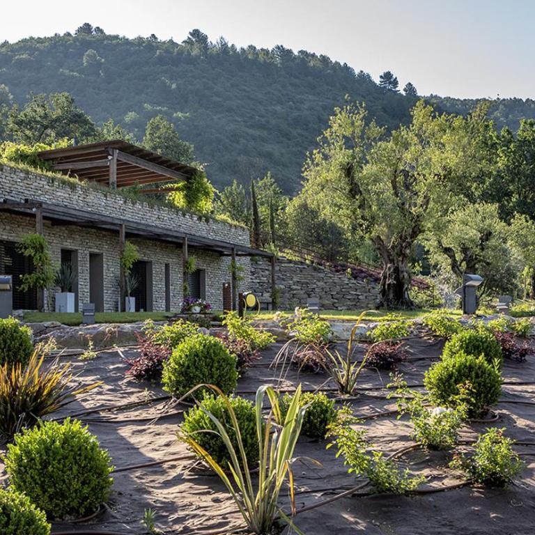 Villa San Francesco - Teloni - Three-Bedroom Villa - 5