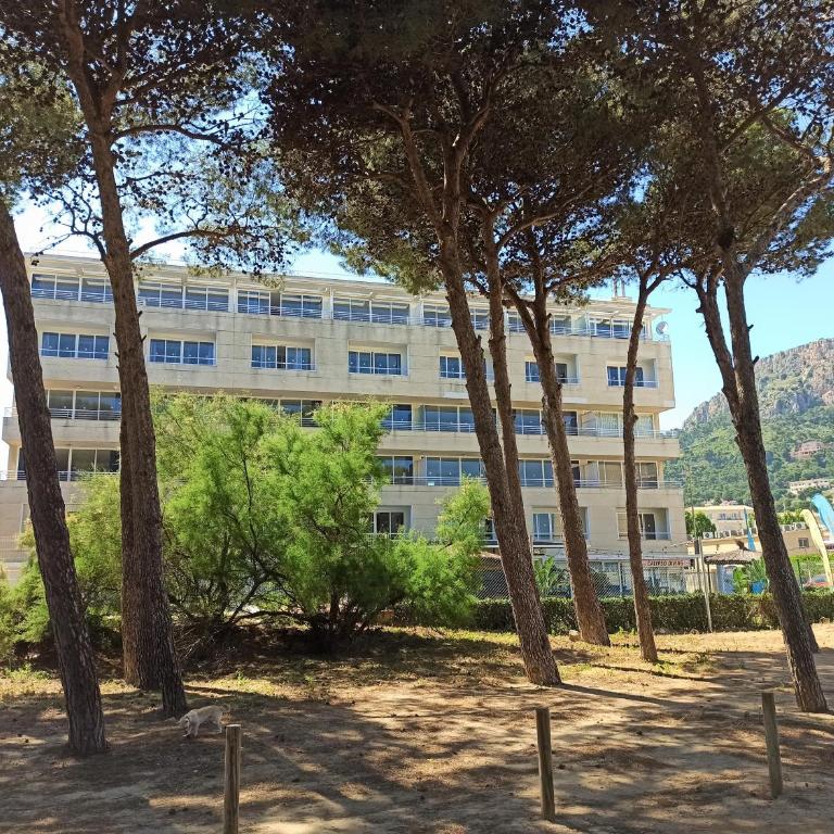 Trill Mirasol A - Apartment - Split Level - 12