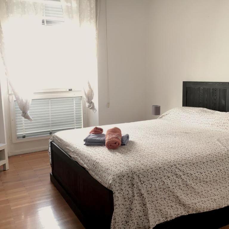Santa teresa 15\2 - One-Bedroom Apartment - 4