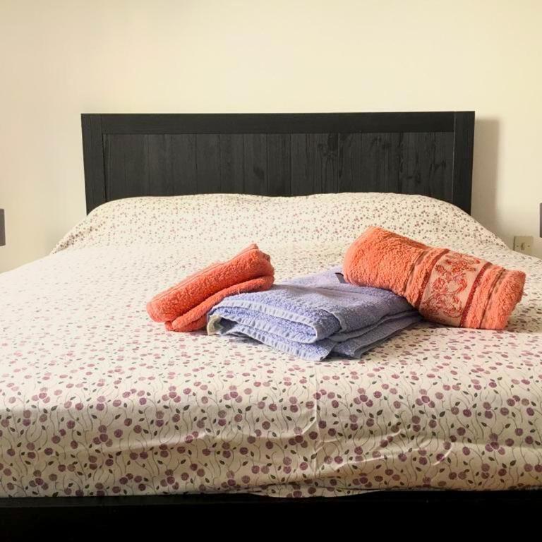 Santa teresa 15\2 - One-Bedroom Apartment - 1