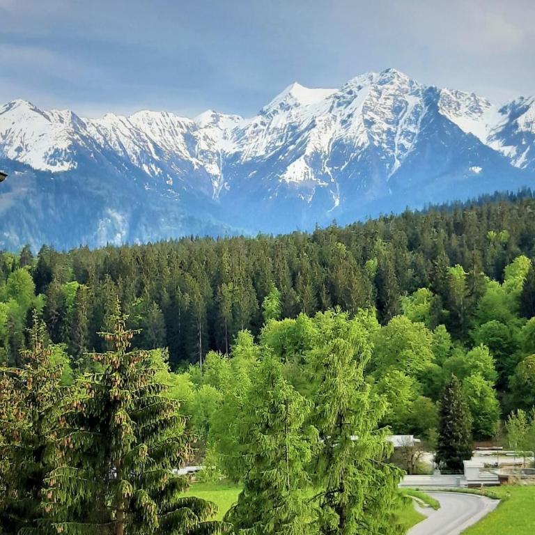 Panorama A23 Fitzi - Ferienwohnung für 1-2 Personen - Studio mit Bergblick - 2