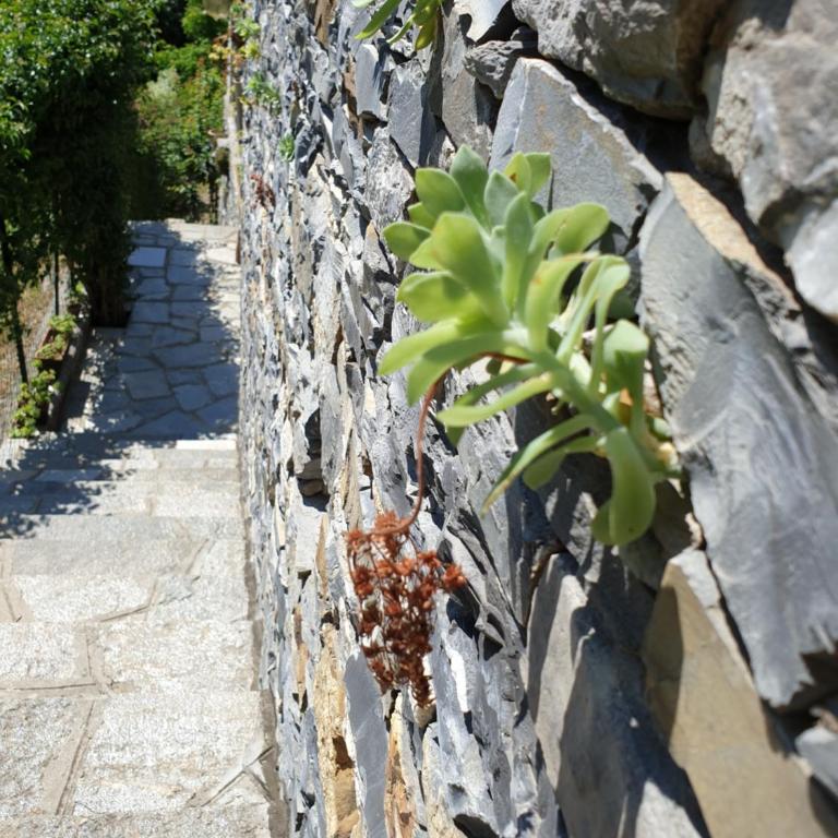B&B collina e mare - Appartamento - 13