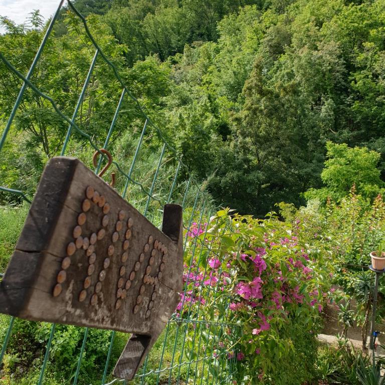 B&B collina e mare - Appartamento - 10