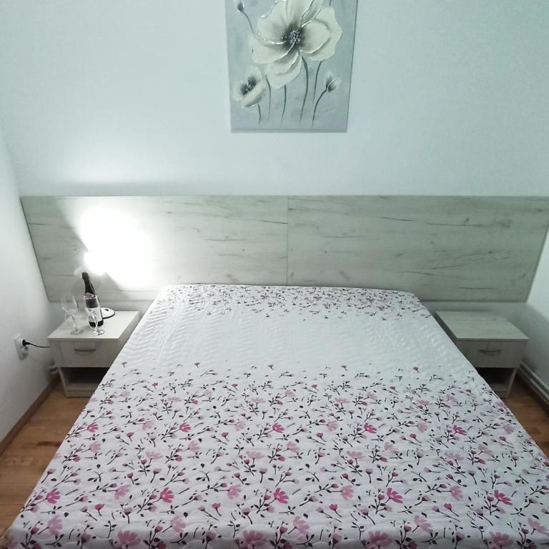 Lili apartman u parku - Apartman sa 2 Spavaće Sobe - 11