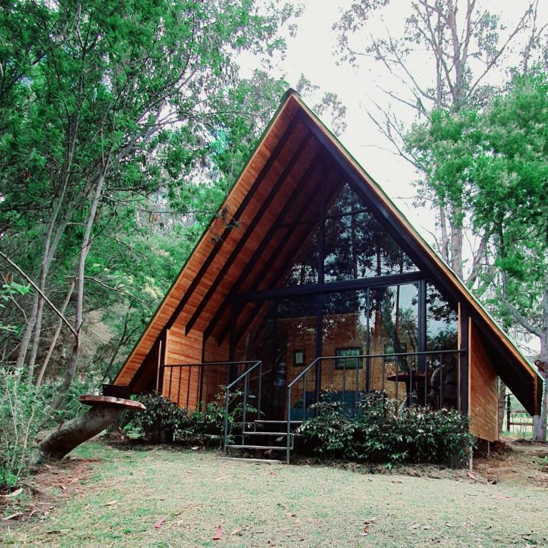 Glamping Los Ángeles - Villa con vistas al jardín - 3