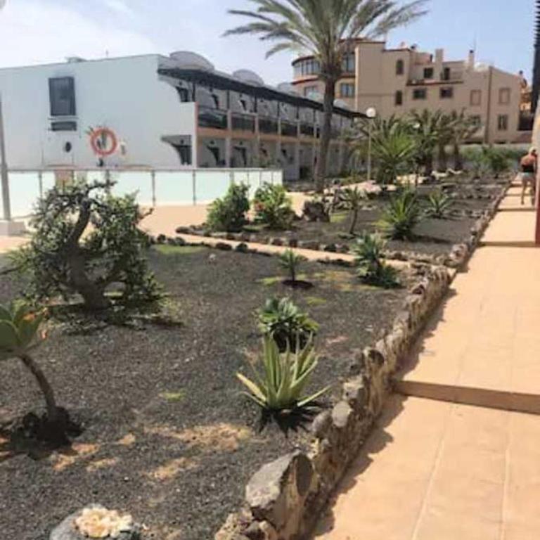 Amaya Relax - Apartamento de 1 dormitorio - 28