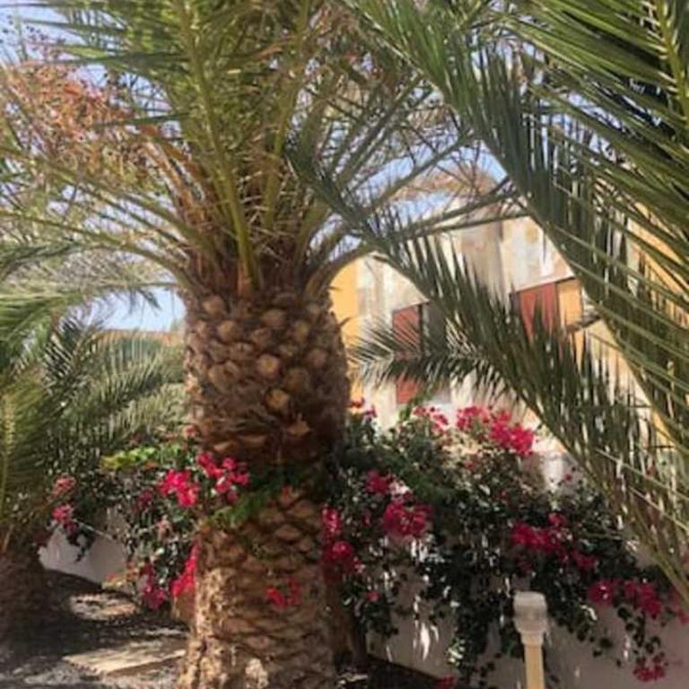 Amaya Relax - Apartamento de 1 dormitorio - 37