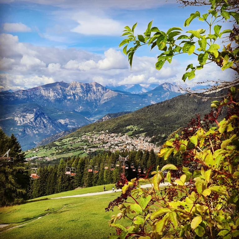 Trentino Apartments - Casa Moser - Appartamentino su 2 Livelli - 22