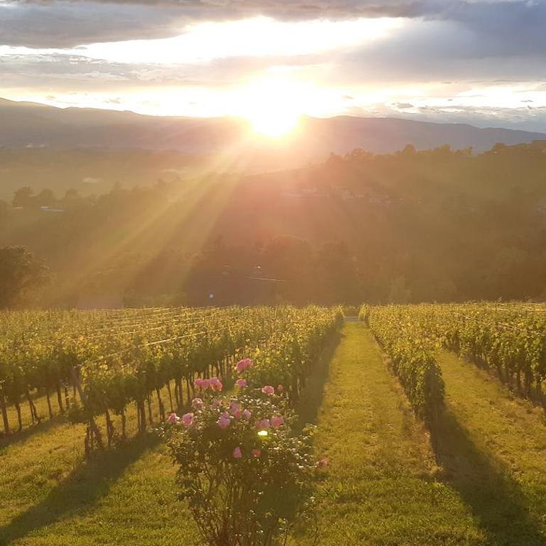 Wein- und Weitblick - Appartamento con 2 Camere da Letto - 3