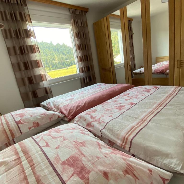 Traumhaus Flattnitz - Apartment mit 3 Schlafzimmern - 20