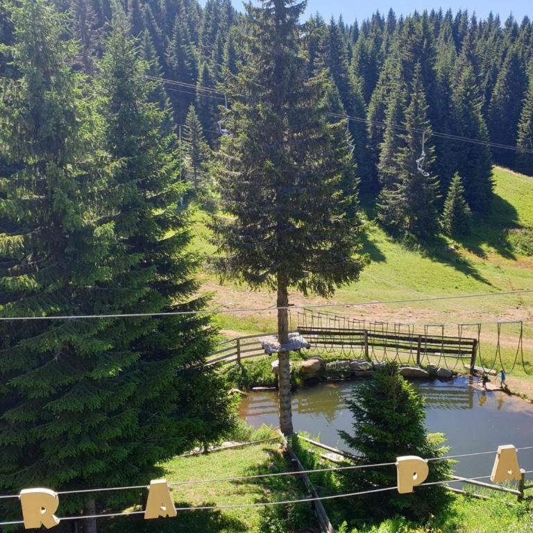 Milmari Apartman P38 - Apartment - 37