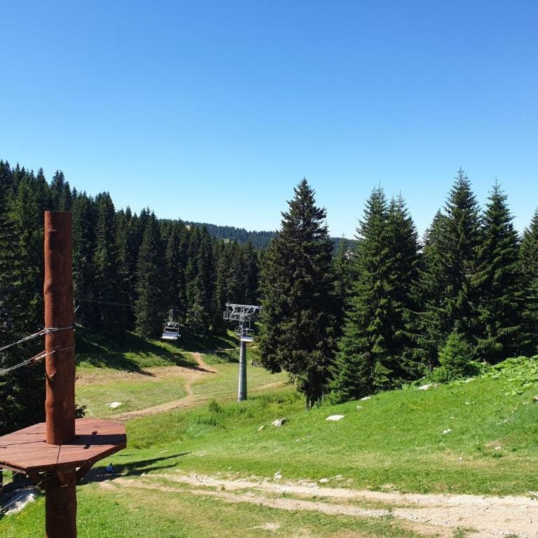 Milmari Apartman P38 - Apartment - 36
