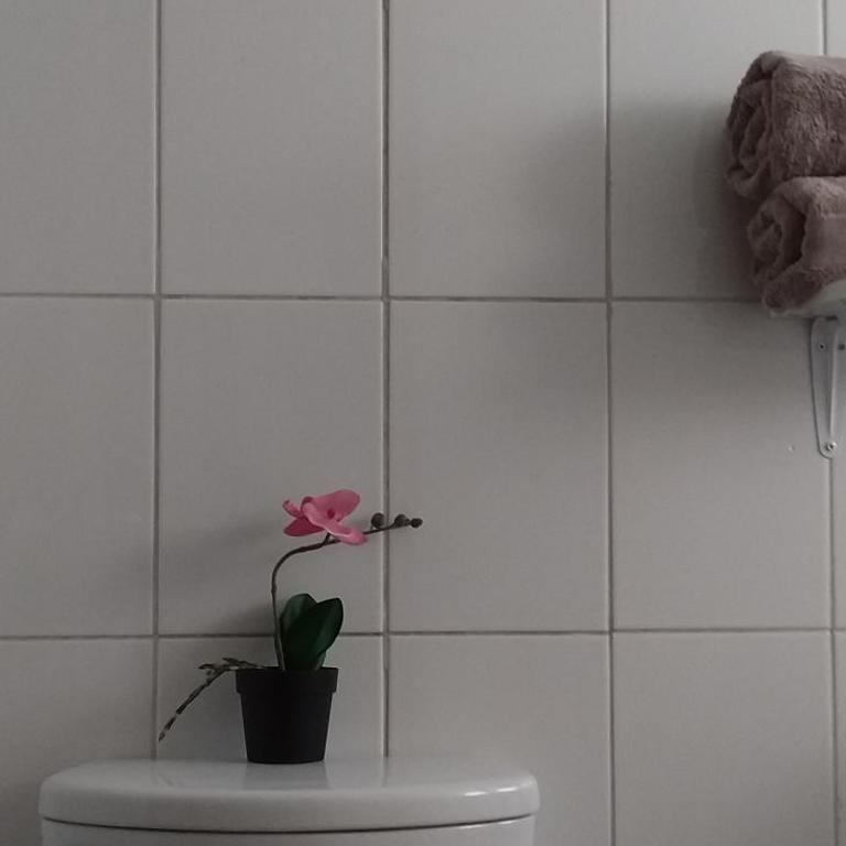 Hostal Tunquelen - Habitación Doble con baño privado - 6