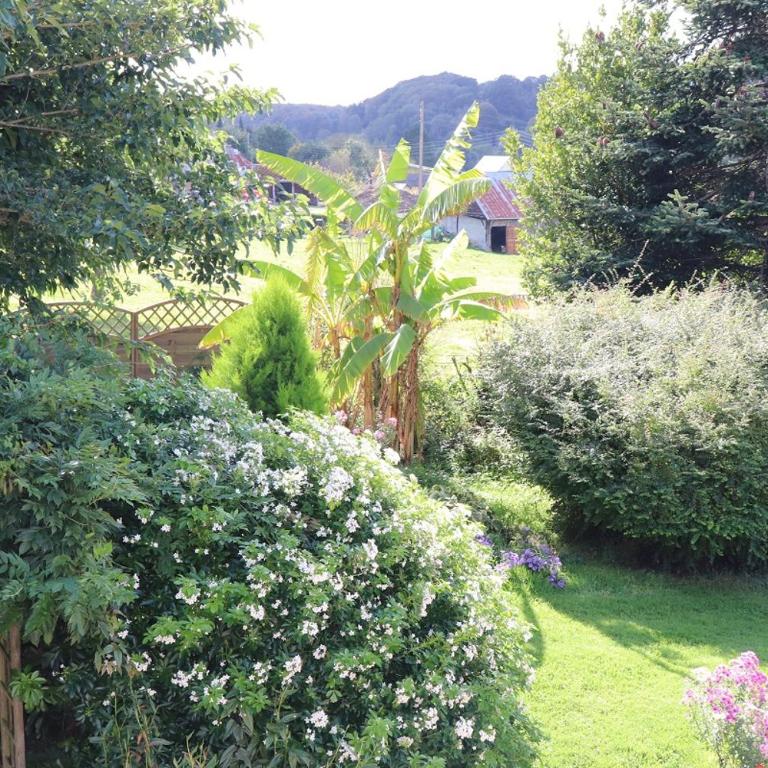 L'Herbe Haute - Chambre Double - Vue sur Jardin - 8