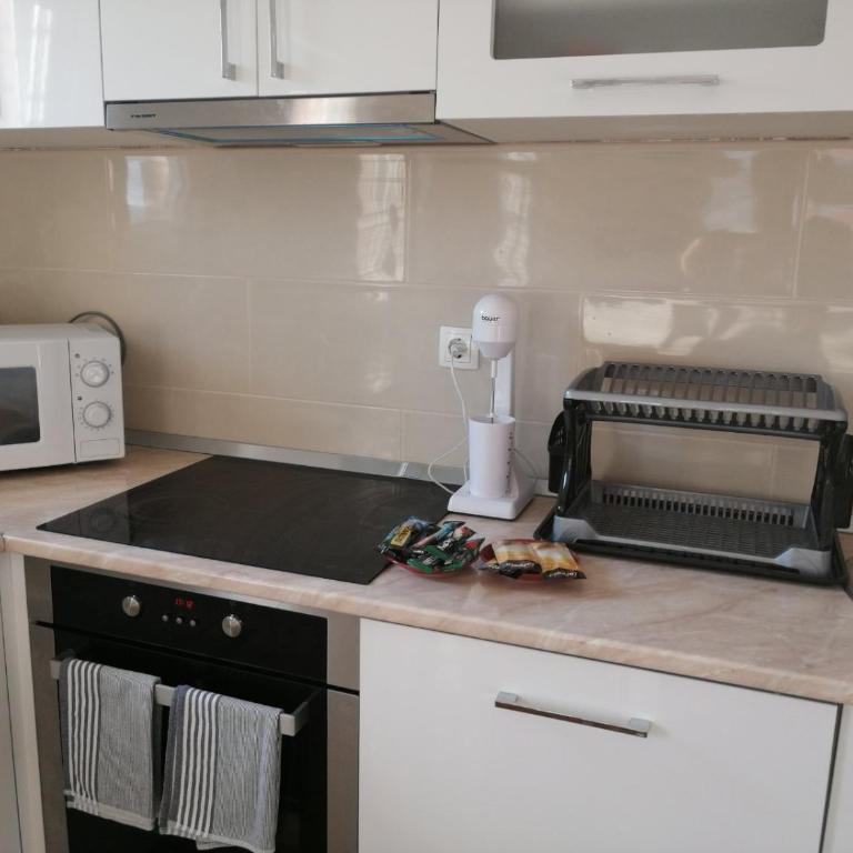 Sun garden apartment - Premium Apartman sa 1 Spavaćom Sobom - 26