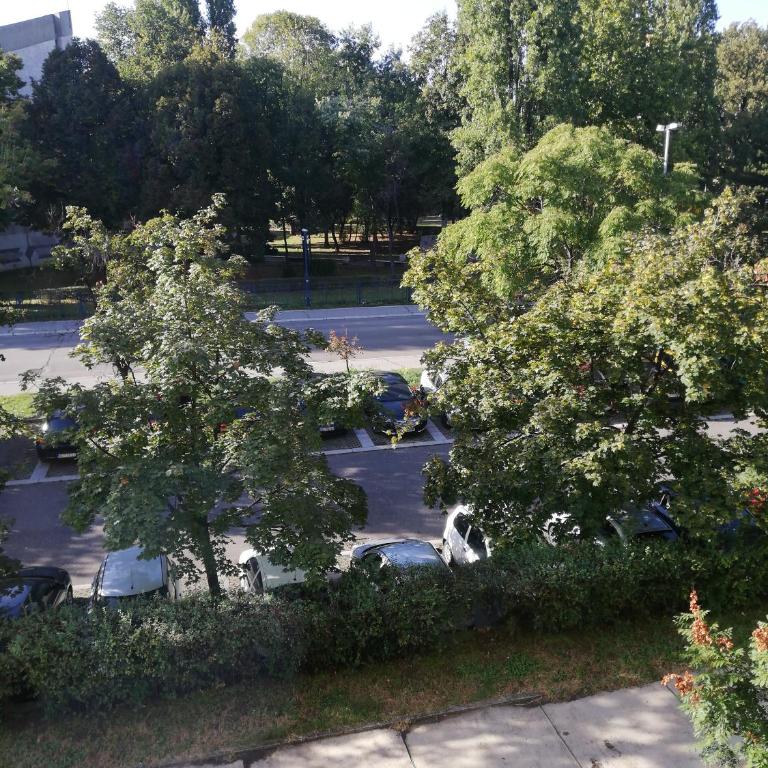 Apartman Vanja - Apartman - 21