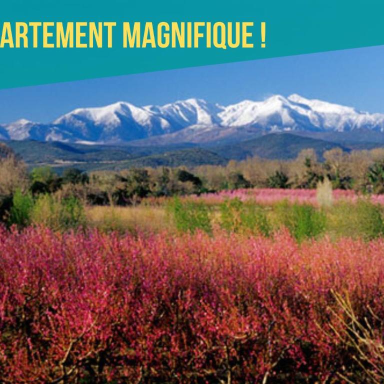 "Le 44", immeuble de 2 logements neufs, garage pour le F2 uniquement - Appartamento con 2 Camere da Letto - 24