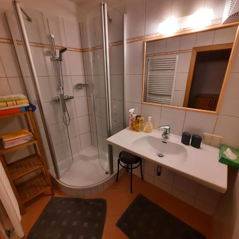 Pilznerhof - Apartment mit 5 Schlafzimmern und Seeblick - 6