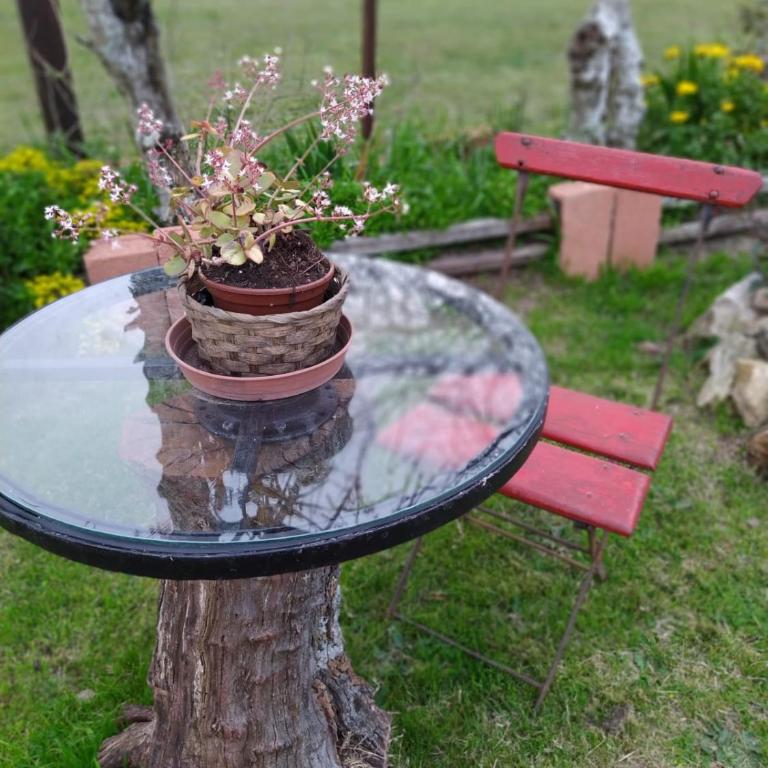 El Destacamento - Two-Bedroom Apartment - 6