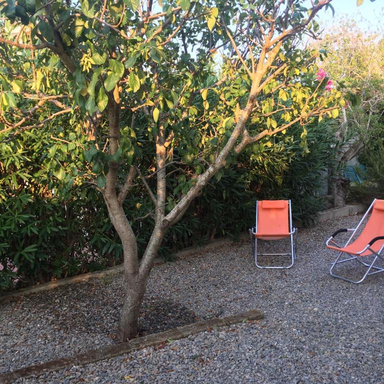 Apt. Calanchiole by SolturElba - Casa con 2 Camere da Letto - 1