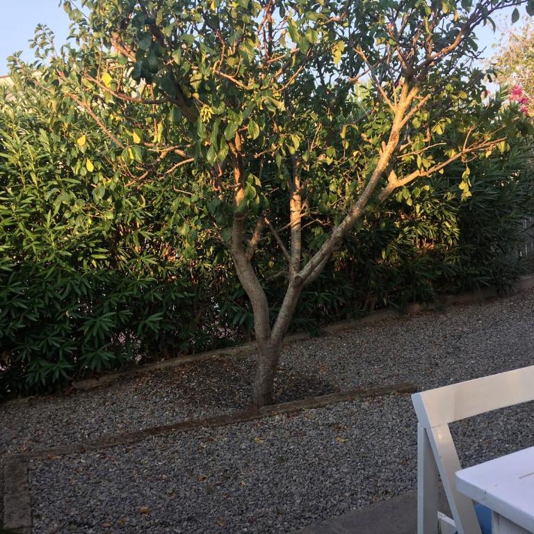 Apt. Calanchiole by SolturElba - Casa con 2 Camere da Letto - 4