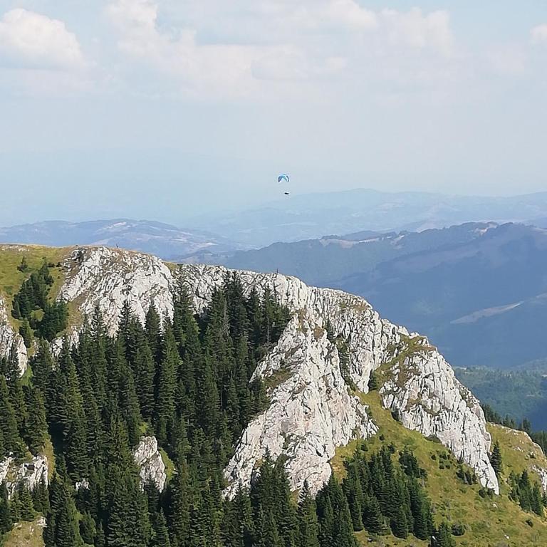 RooftopTerrace 360° - Dvori C13 KOPAONIK - One-Bedroom Apartment - 76