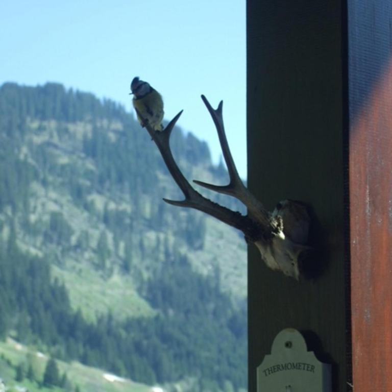 Le Ciel Bleu - Chalet - 14