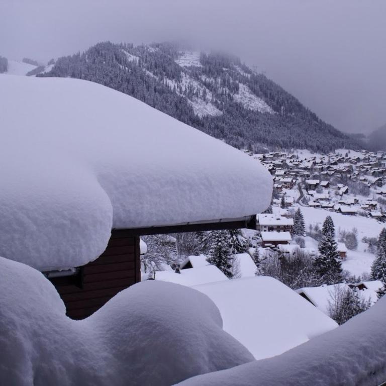 Le Ciel Bleu - Chalet - 12