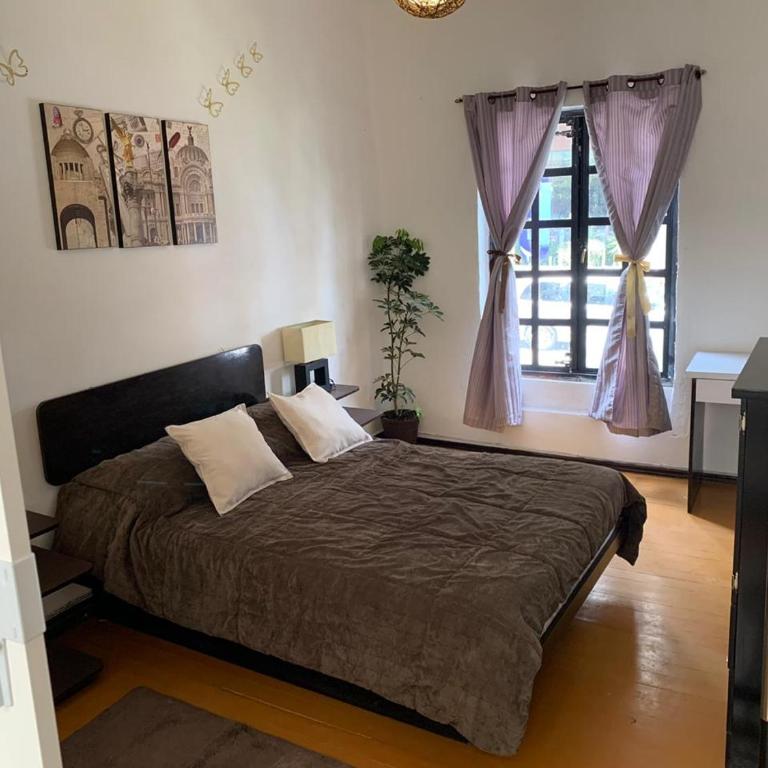 La Histórica CDMX - Habitación Estándar - 1 cama grande - 13