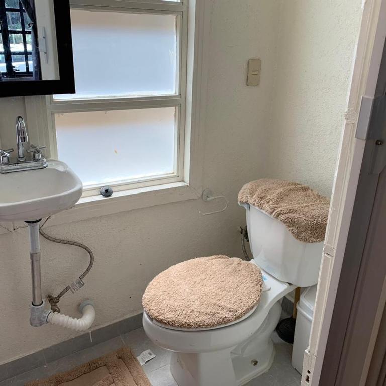 La Histórica CDMX - Habitación Estándar - 1 cama grande - 15
