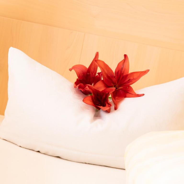 Haus Tirol - Apartment mit 4 Schlafzimmern und einem Balkon - 6