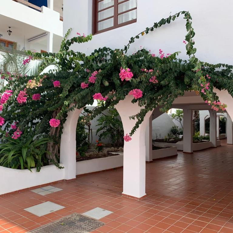 Sunny Tenerife, Los Cristianos, Studio - Apartamento de 1 dormitorio - 6