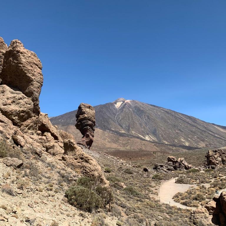 Sunny Tenerife, Los Cristianos, Studio - Apartamento de 1 dormitorio - 30