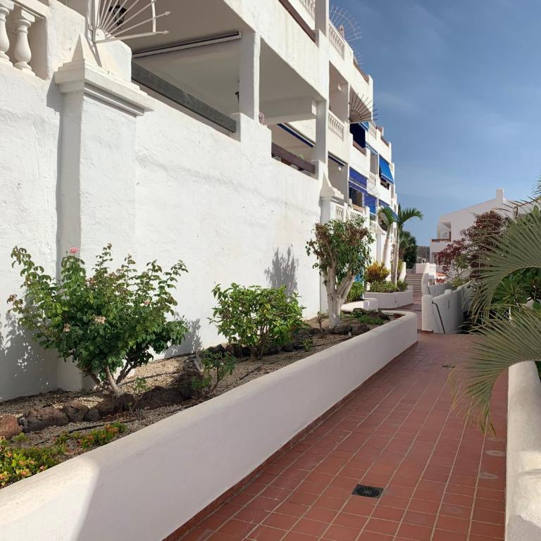 Sunny Tenerife, Los Cristianos, Studio - Apartamento de 1 dormitorio - 8