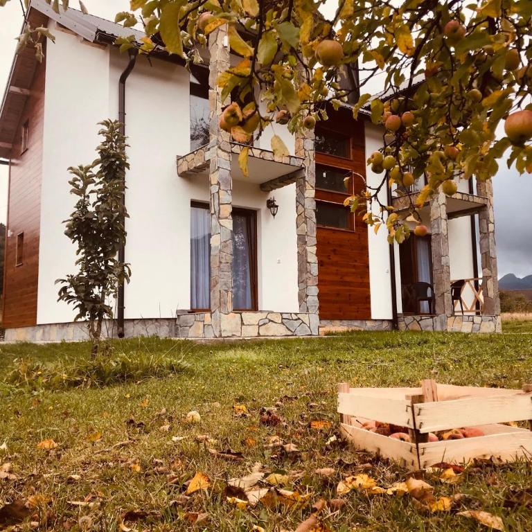 Vila Montenegrina - Apartman sa Pogledom na Planinu - 6