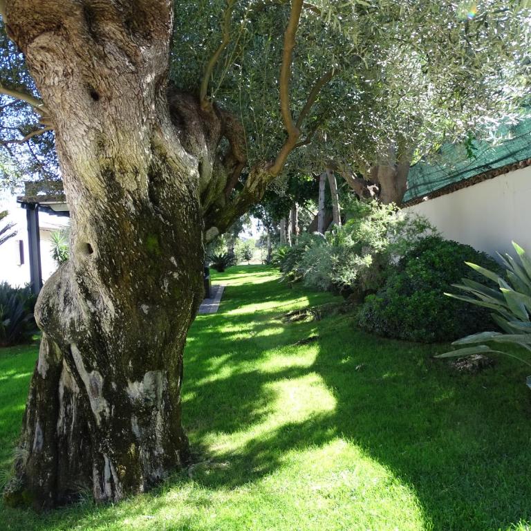 La casetta al maneggio - Appartamento con 1 Camera da Letto - 14