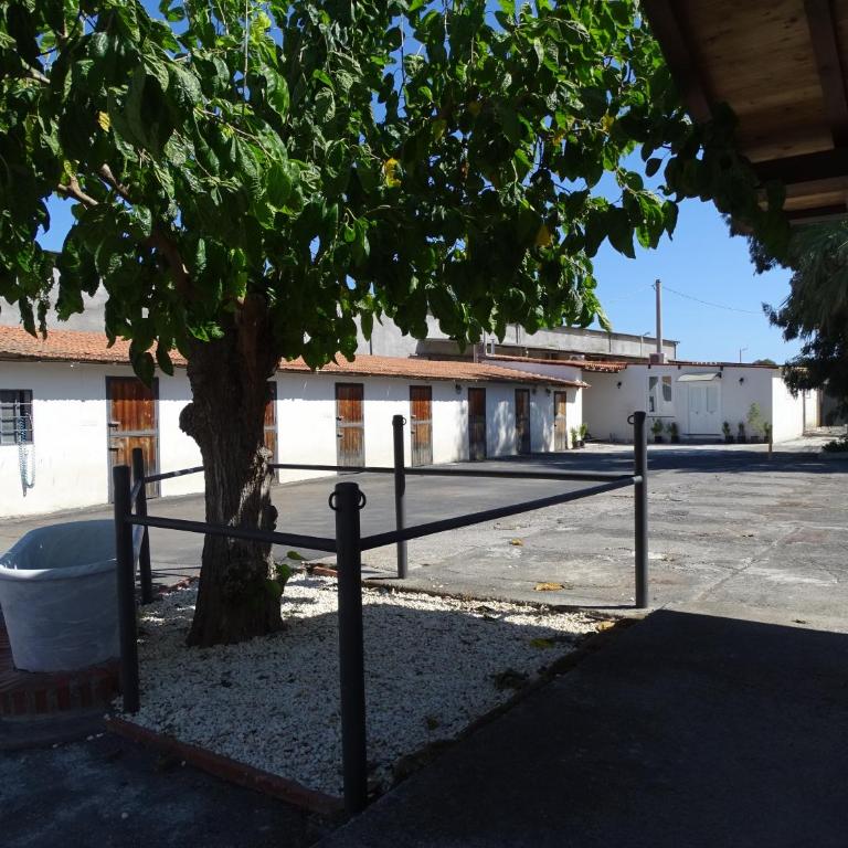La casetta al maneggio - Appartamento con 1 Camera da Letto - 12