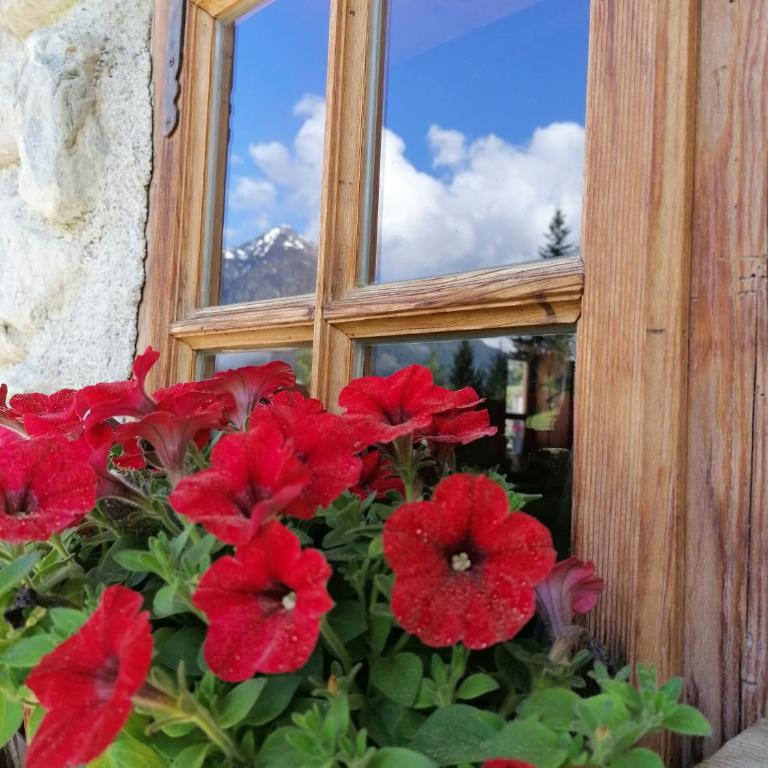 Bifeis Hütte - Apartamento de 2 dormitorios con terraza - 17