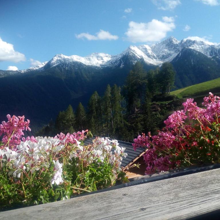 Niederhaushof - Appartamento con Vista Montagna - 3