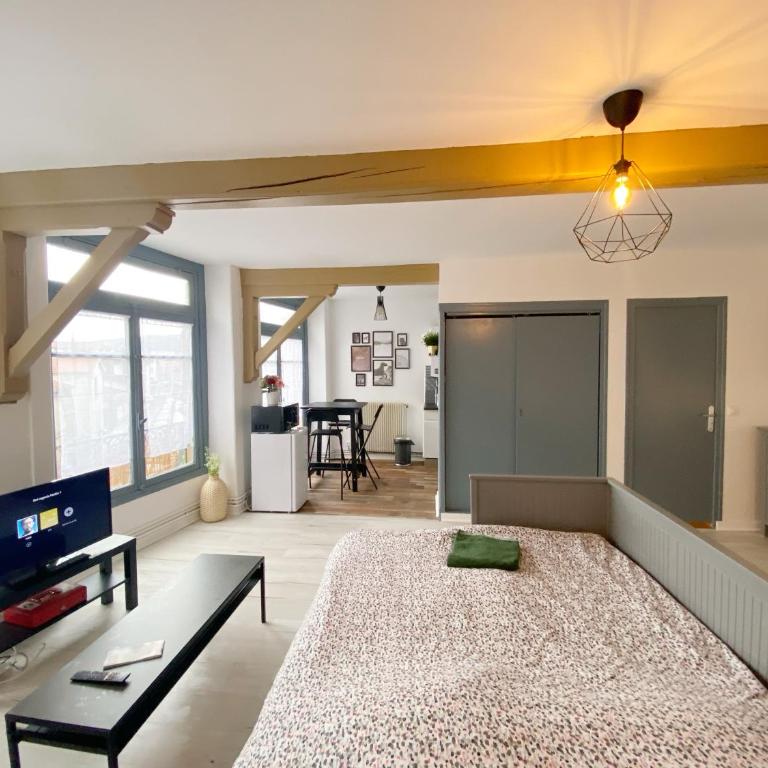 015 CHIC & COSY STUDIO 41m2 HYPERCENTRE WIFI SMART TV NETFLIX - Studio - 21