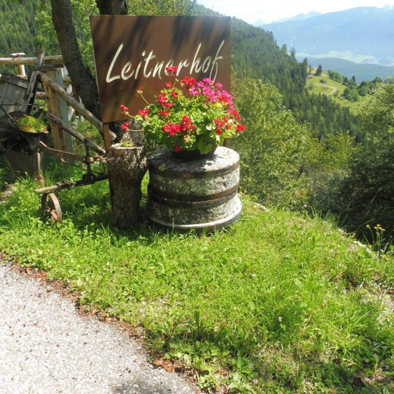 Leitnerhof - Apartamento con vistas a las montañas - 6