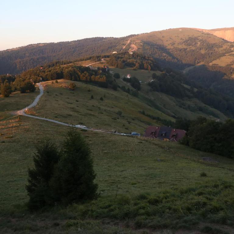 Vikendica Vila Despotovic - Villa - 70