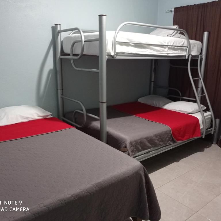 Hotel Casa Ceci Inn - Family Suite - 1