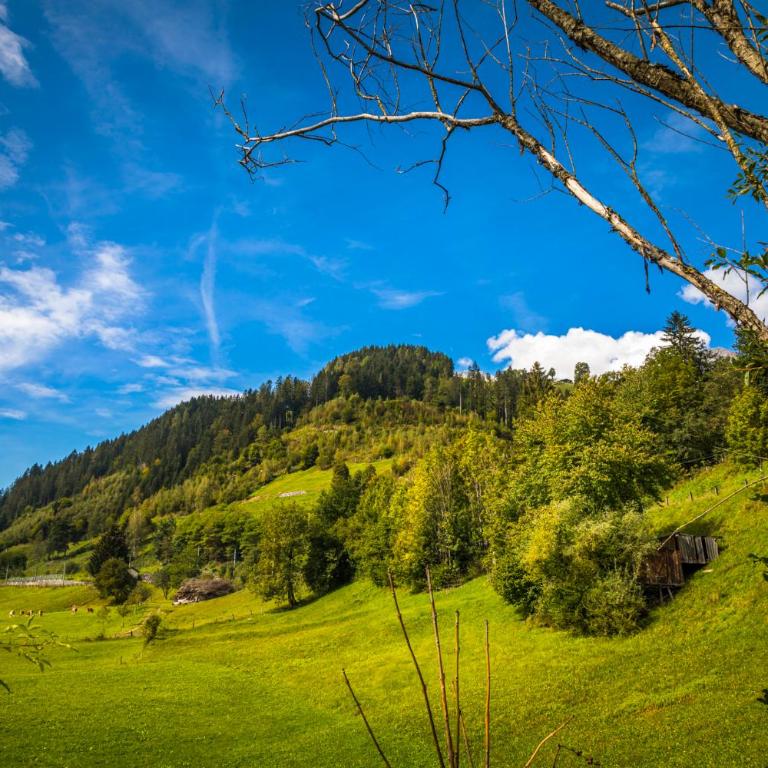 Chalet Matzhof - Apartment mit Blick auf die Berge - 12