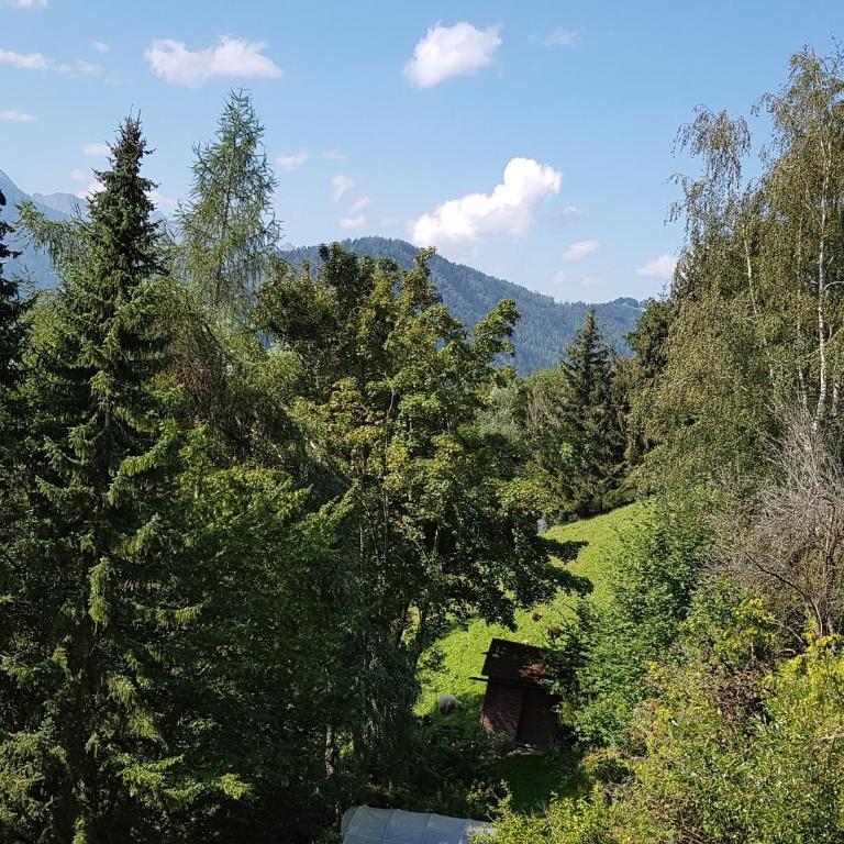 Apartment Claudia - Apartment mit 2 Schlafzimmern - 19