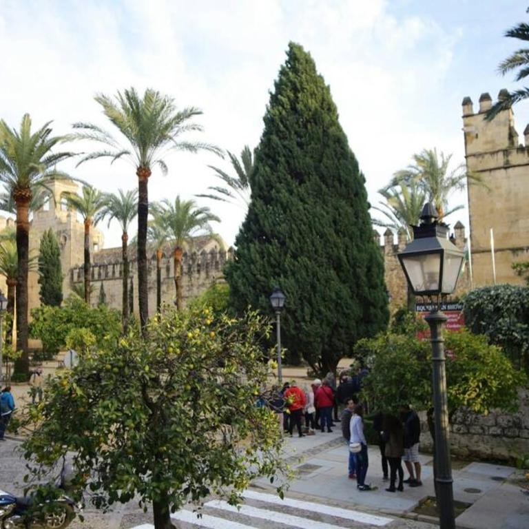 Calle San Basilio - Patios. Aparcamiento gratis - Apartamento de 2 dormitorios - 20