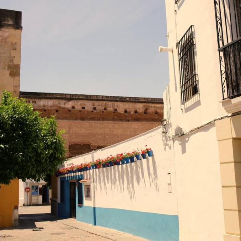 Calle San Basilio - Patios. Aparcamiento gratis - Apartamento de 2 dormitorios - 16