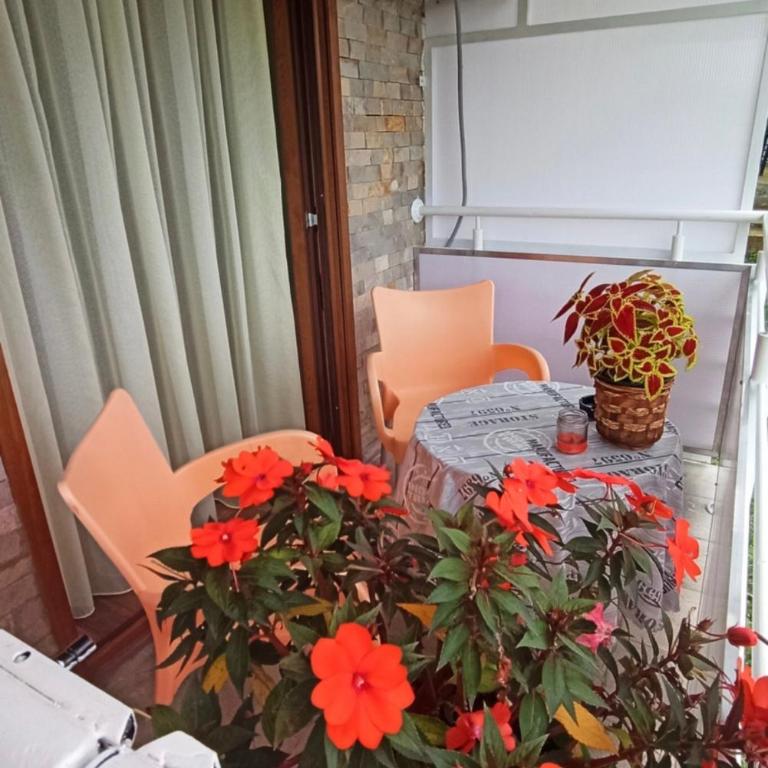 Apartman Sunce - Apartman sa 1 Spavaćom Sobom - 23
