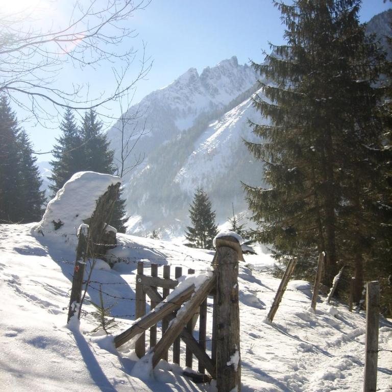 Oberreiter's Alpennest - Apartment mit Blick auf die Berge - 24
